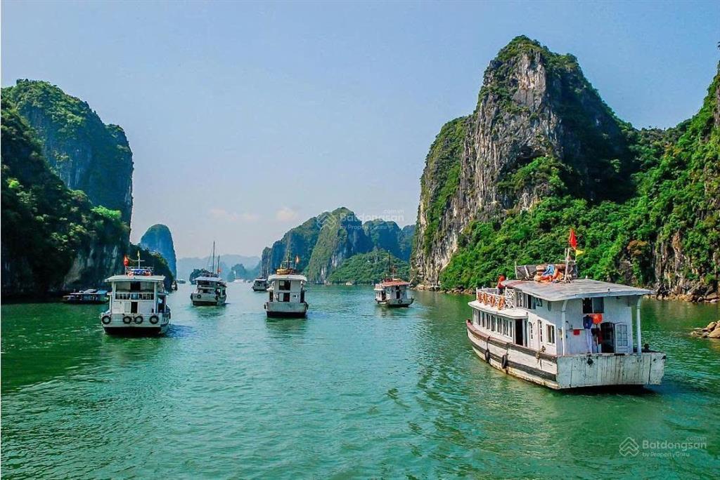 Cần bán khách sạn mặt phố vườn đào trung tâm bãi cháy, hạ long dòng tiền khủng giá chỉ 8,5 tỷ