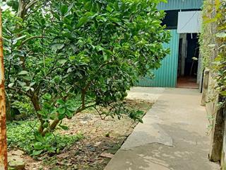 Chính chủ bán nhà cấp 4  dt 82m2 tại đức diễn, phú diễn, hà nội giá rẻ chỉ 42,5 triệu/m2