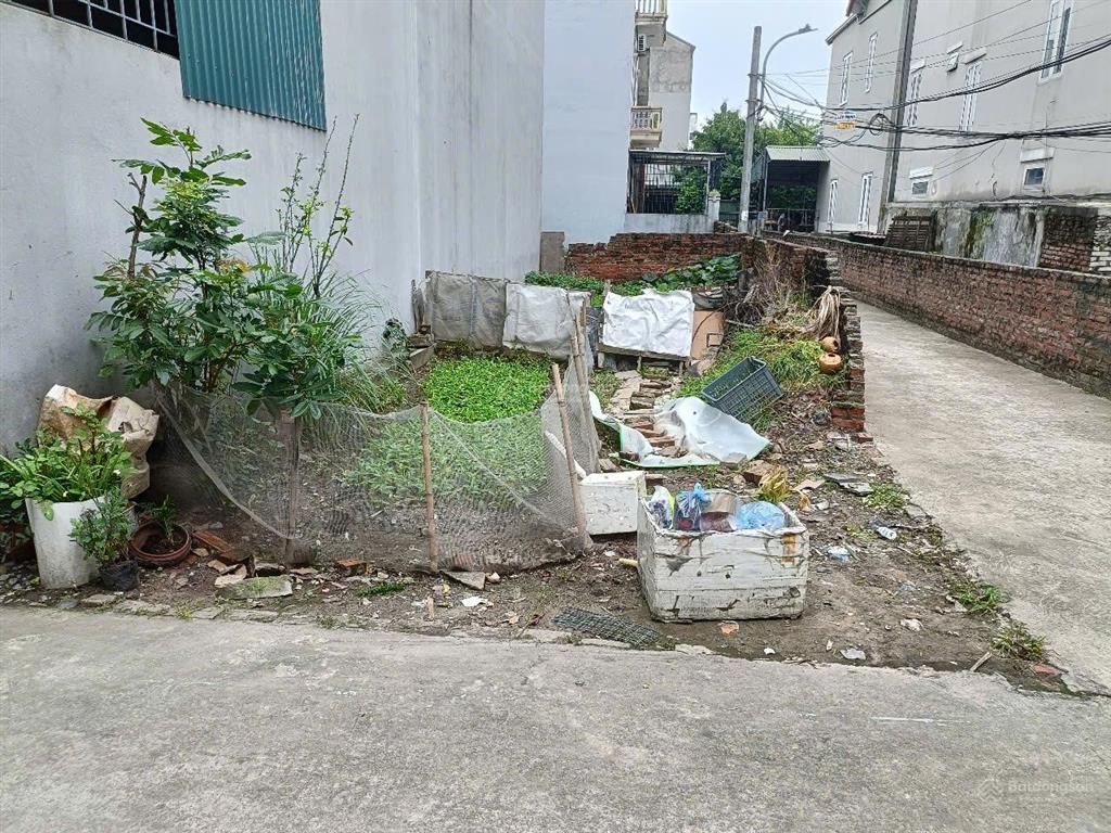 Chính chủ bán đất long biên 65m2, mt 4.5m chỉ nhỉnh 9 tỷ vị trí đẹp, lô góc, ô tô vào đất, gần hồ