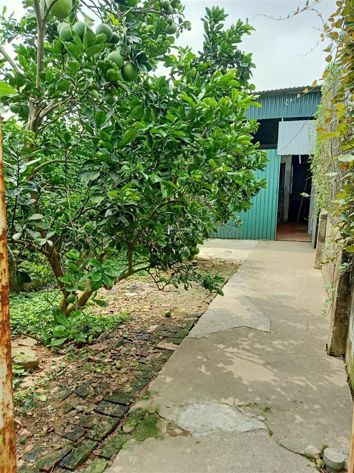 Cho thuê nhà riêng 82m2 tại đức diễn, phú diễn, hà nội giá rẻ 4tr6/tháng