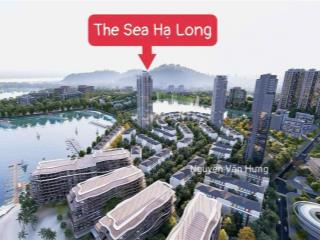 Cần bán căn 2pn 2vs dự án the sea hạ long full nội thất, suất mua chỉ từ 1.5 tỷ (30%)