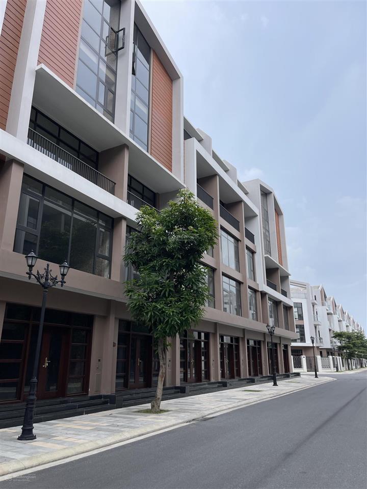 Cắt lỗ liền kề 56m ocean park 3, gần chung cư, vịnh biển và grand world trung tâm tiện ích. sẵn sổ