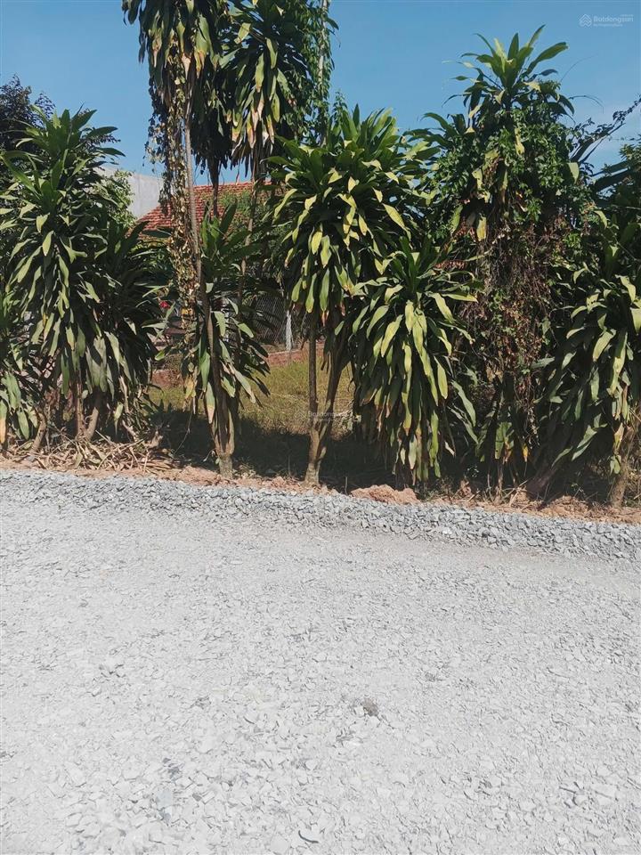 Cổng kcn trảng bàng, 5x18=90m2, ngay bách hóa xanh, sổ riêng, 620 triệu