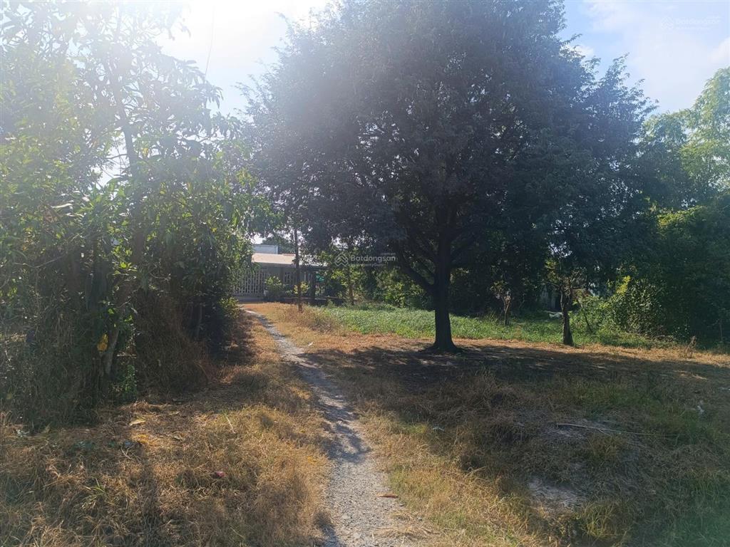 Ngã 4 chợ suối sâu, an tịnh, trảng bàng, đất 14x23=325m2 sổ riêng, đường lớn, 980 triệu