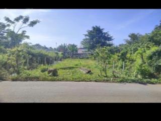 Đất đẹp giá rẻ chỉ 1 tỷ 350 ngay đ. nguyễn thị se . dt 109m2, sổ hồng riêng