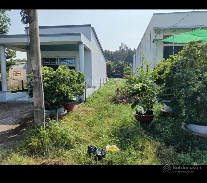 Cần bán siêu phẩm 109m2 nằm ngay 1 sẹc suối lội , tân thông hội, củ chi . giá 1 tỷ 6, sổ hồng riêng