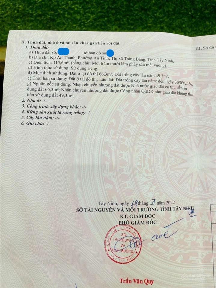 Chính chủ bán đất 115m2 ngay quốc lộ 22 gần kcn trảng bàng giá 650tr, sổ hồng riêng