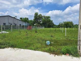 Đất ngộp 290m2, kp an bình, an tịnh, trảng bàng 7x41m giá 760 triệu, sổ hồng riêng, cách kcn 300m