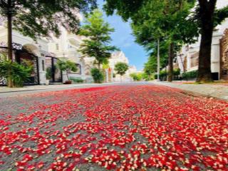 Bán nhà cityland ngay siêu thị emart phan văn trị. cách trường quốc tế việt úc 10m chỉ 22 tỷ