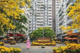 Giảm 300 triệu  bán nhanh căn hộ chung cư ngô tất tố  gần 100m2 shr