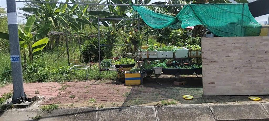 Bán nhanh đất nền liên ấp t&t thái sơn, long an
