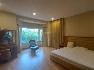 Cho thuê gấp biệt thự đơn lập phú gia, phú mỹ hưng, quận 7
