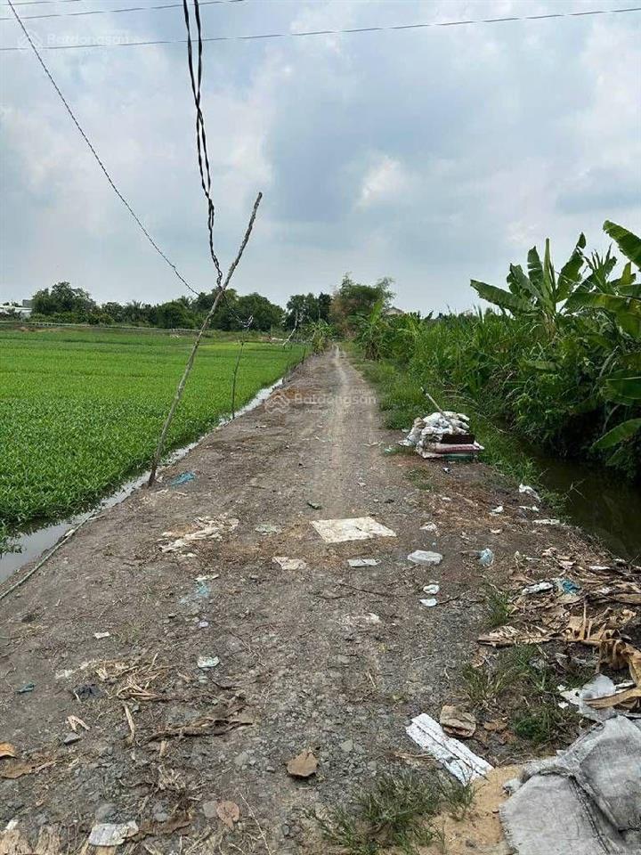 Chỉ 3 tỷ 5  đất vườn diện tích lớn 1.965,8m2  bình mỹ củ chi  giá tốt đầu tư
