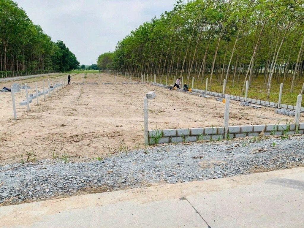 Bán đất nhuận đức củ chi 500m2  đường 6m chỉ 2.4 tỷ