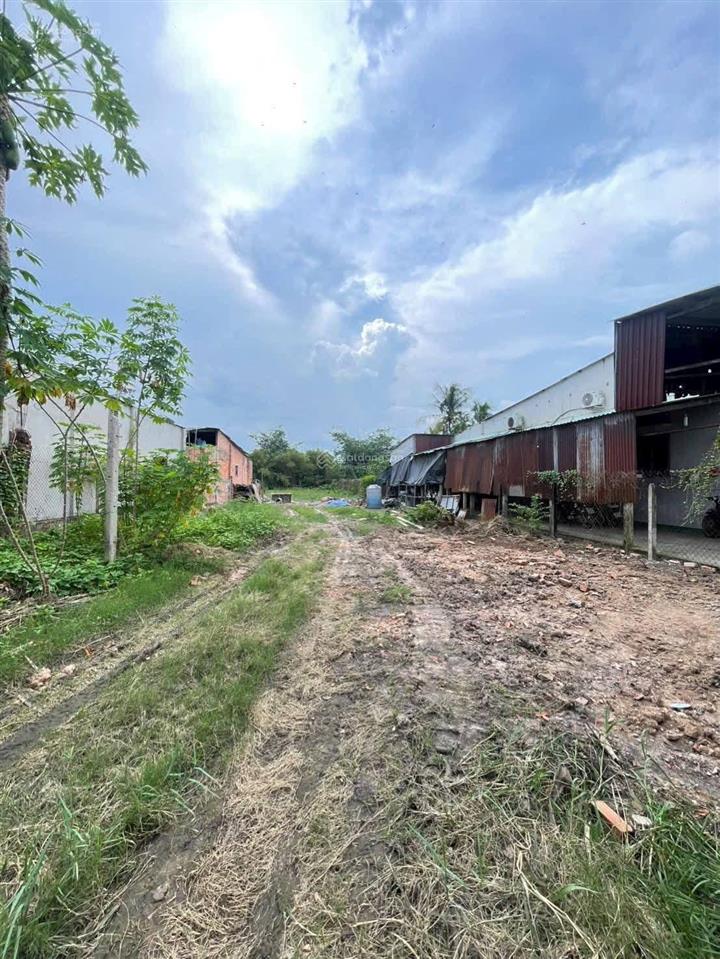 Chỉ 5 tỷ  bán đất 1104m2  mặt tiền an nhơn tây  ngang lớn 13m, nở hậu 15m