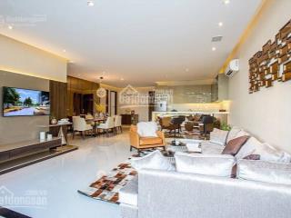 Cần bán gấp căn hộ garden plaza 1, phú mỹ hưng quận 7. dt 148m2 giá 19 tỷ giá rẻ nhất thị trường