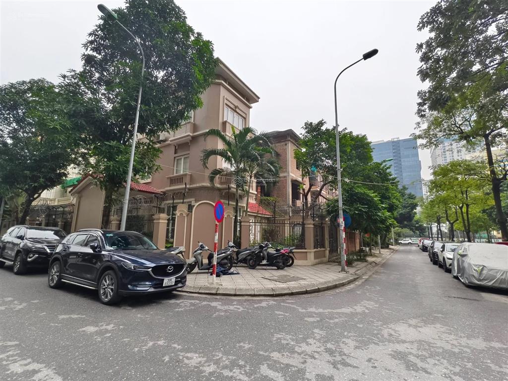 Bán biệt thự phố dương đình nghệ  lô góc  view công viên. 268m2  118 tỷ