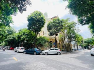 Chính chủ bán biệt thự kđt mỹ đình, lô góc, view vườn hoa, kd đỉnh cao. 166m2  giá chỉ 60 tỷ.