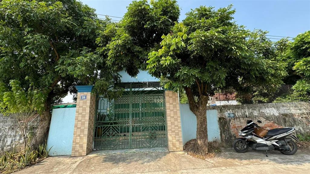 Bán nhà đất khu phố 3  thị trấn liễu đề. 120m2  mt 6,2m  giá 1,35 tỷ