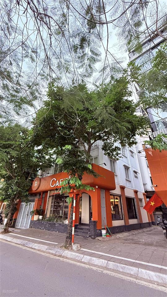 Chính chủ bán nhà 67 nguyễn đình thi, lô góc 3 thoáng. 6 tầng thang máy. 141m2 mt11m  giá 231 tỷ.