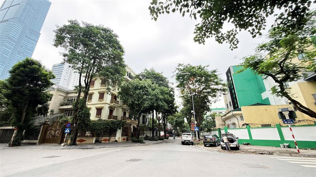 Chính chủ bán gấp biệt thự mặt phố mễ trì hạ, vỉa hè kinh doanh đỉnh cao. 195m² giá hơn 80 tỷ.