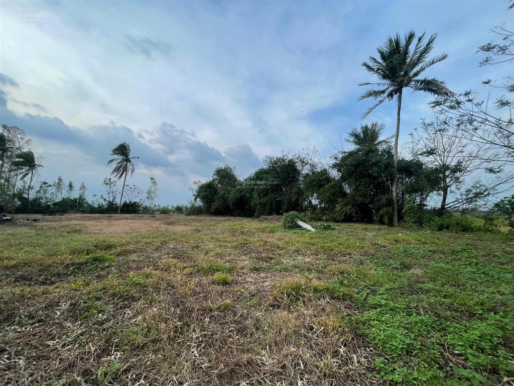 Cần bán 4514,7m2 đất mặt tiền quốc lộ 19, (xã tây xuân cũ), huyện tây sơn, bình định cũ 16 tỷ