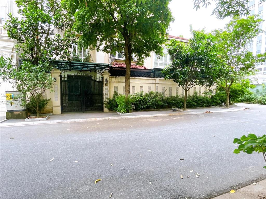 Phân lô biệt thự việt hưng  330m2 mặt tiền 20m vuông đẹp  rẻ chỉ 181 triệu/m²