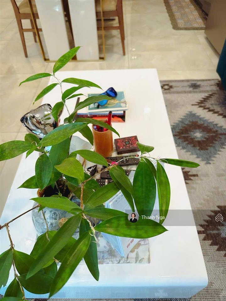 Mua ngay căn 2pn vinhomes golden river thiết kế cùng trục ngang thoáng mát, giá tốt