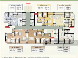 Ra mắt palm river khu căn hộ nghỉ dưỡng giữa lòng thành phố