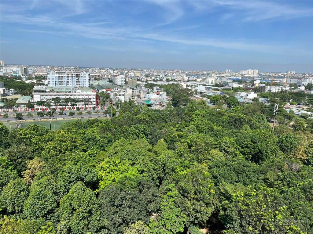 Bán nhanh căn hộ 2pn 88m2 diamond alnata plus view đại lộ