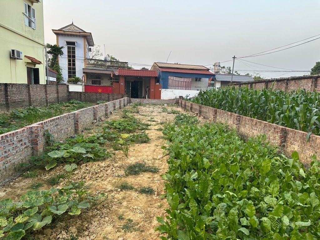 Bán đất thái lai kim anh, đường ô tô tải 140m giá 3tỷ
