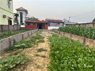 Cc cần bán đất thái lai kim anh, 120m, ngõ thông oto tránh nhau