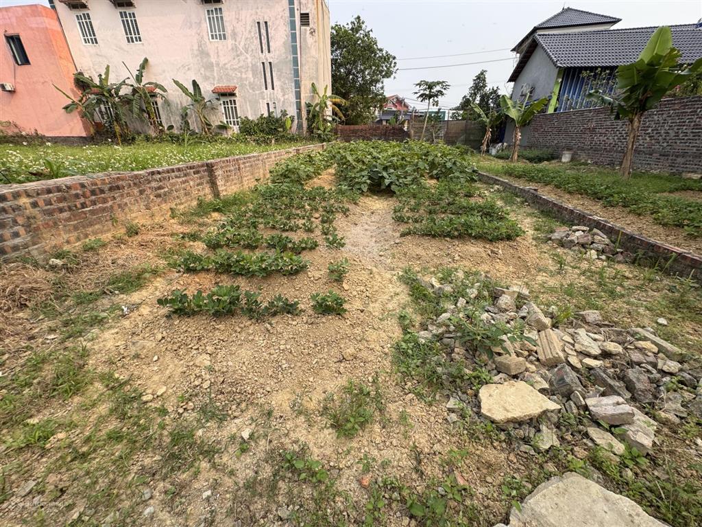 Bán lô đất phú ninh  kim anh đường ô tô tránh 120m2 giá nhỏ 3tỷ