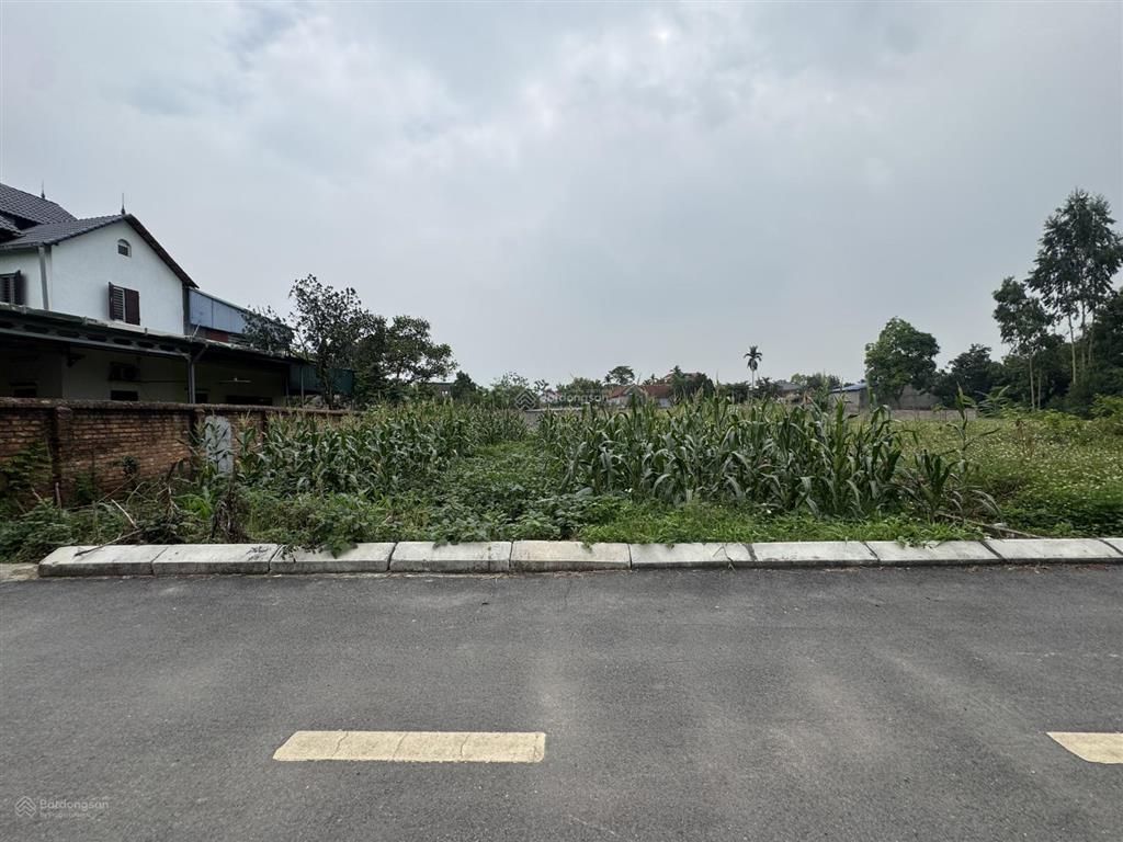 Bán đất kim anh full thổ cư 113m giá chỉ hơn 2tỷ