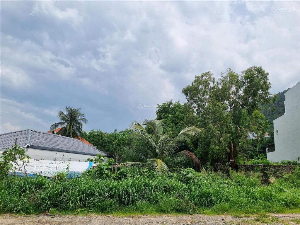 Bán đất biệt thự view biển trần phú  s=520m2 = 24x20m full thổ cư  khu bãi dâu vũng tàu  28 tỷ