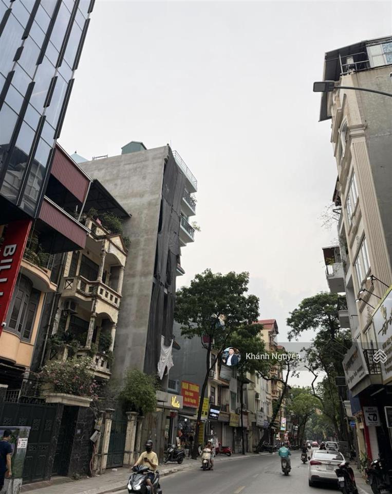 Mặt phố thụy khuê tây hồ  200m2  mt 10m  quy hoạch ổn định  giá 95.8 tỷ có tl