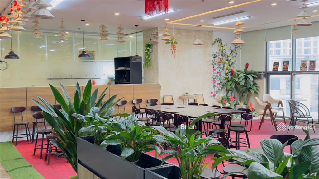 Chính chủ gửi bán sàn thương mại chân đế chung cư usilk city dt 504m2 sổ lâu dài cho thuê 1.2tỷ/năm