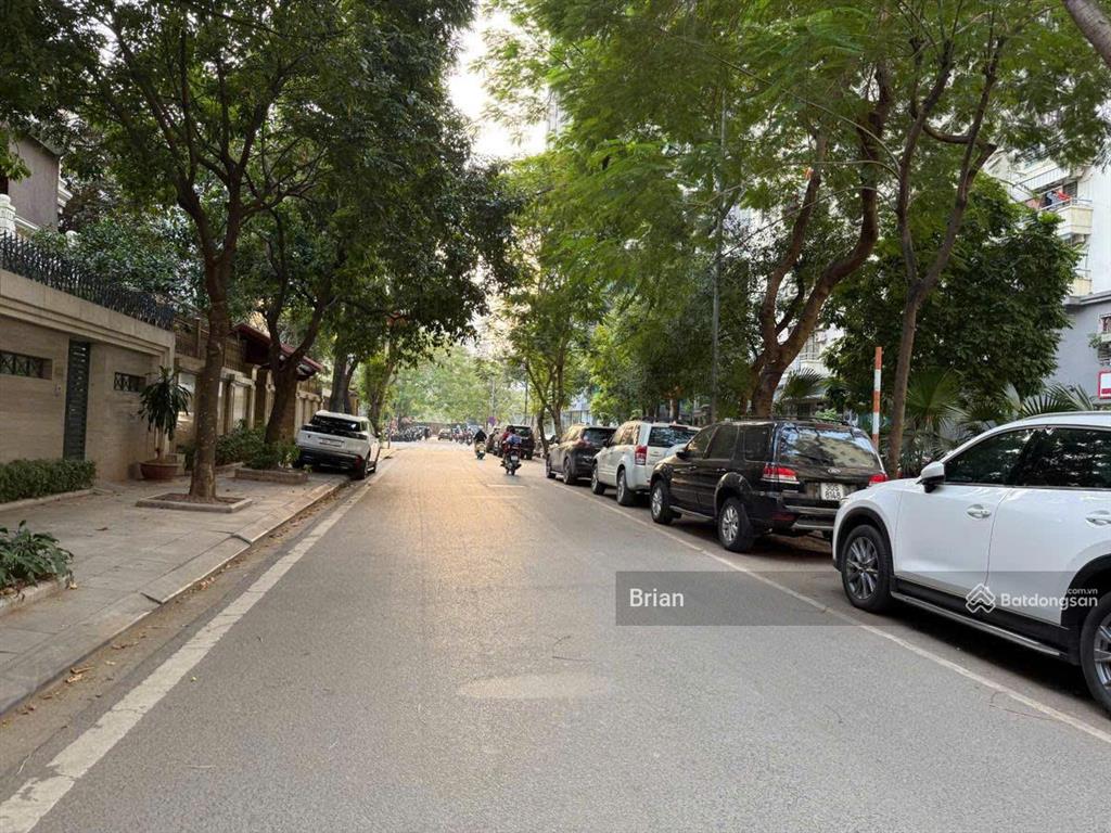 Biệt thự kđt mễ trì hạ  đối diện keangnam dt 181m2, mt 10.5m, 1.68 tỷ/năm