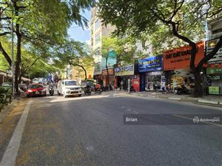 Chính chủ bán nhà núi trúc dt 348m2, mt 10m, kinh doanh sầm uất