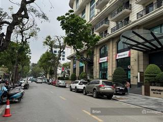 Bán nhà chính chủ mặt phố phan bội châu dt 556m2, mt 12m