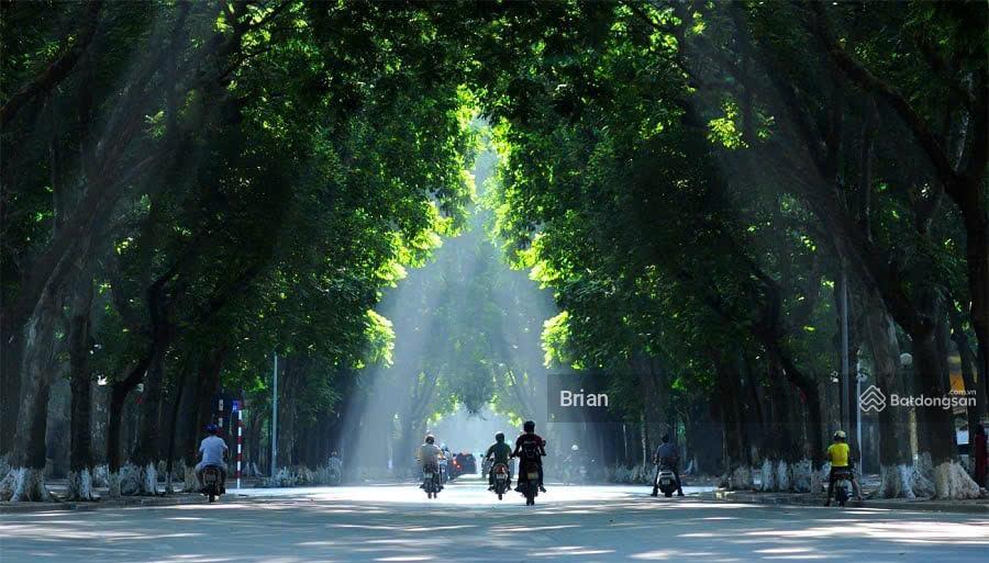 Bán nhà chính chủ mặt phố điện biên phủ dt 420m², mt 14.5m, vỉa hè rộng, kinh doanh sầm uất