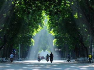 Bán nhà chính chủ mặt phố điện biên phủ dt 420m2, mt 14.5m, vỉa hè rộng , kinh doanh sầm uất