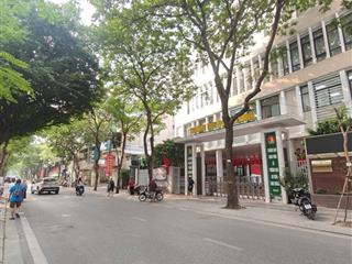 Chính chủ bán nhà mặt phố phùng chí kiên dt 105m2, mt 9.6m, 9 tầng, lô góc, hoàn công trên sổ