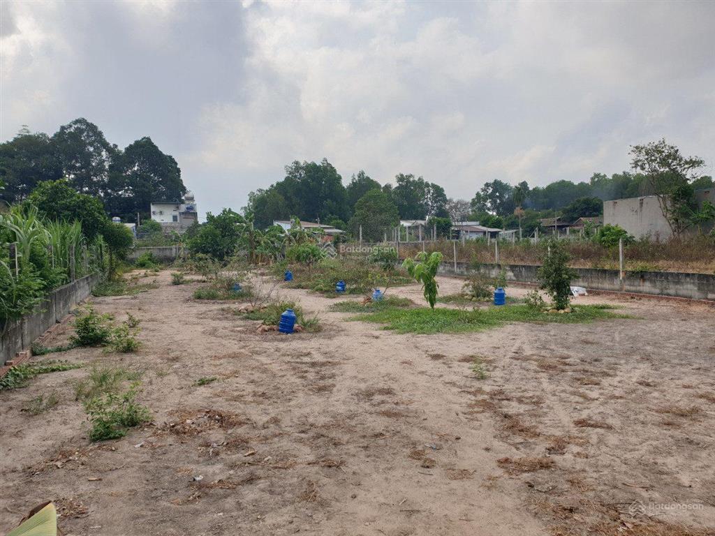Bán đất rộng gần xuyên á củ chi 23x35=800m2 đất vuông vức shr giá 1 tỷ 4 ngay đường nhựa ô tô.