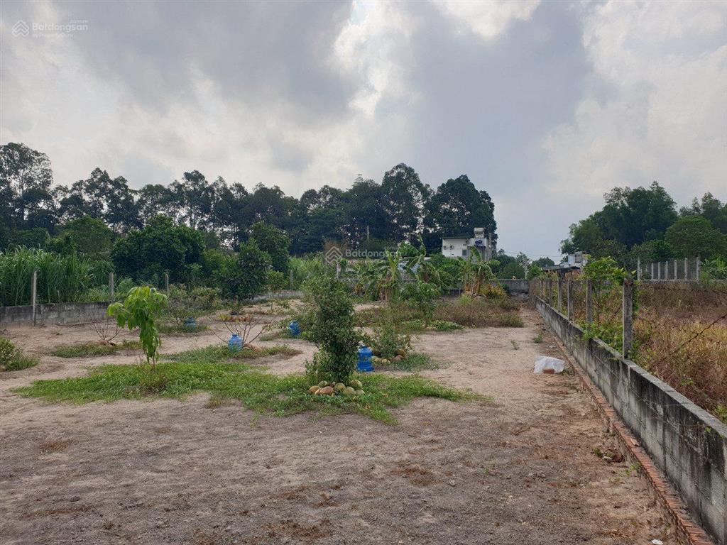 Bán đất rộng gần xuyên á củ chi 23x35=800m2 đất vuông vức shr giá 1 tỷ 4 ngay đường nhựa ô tô.