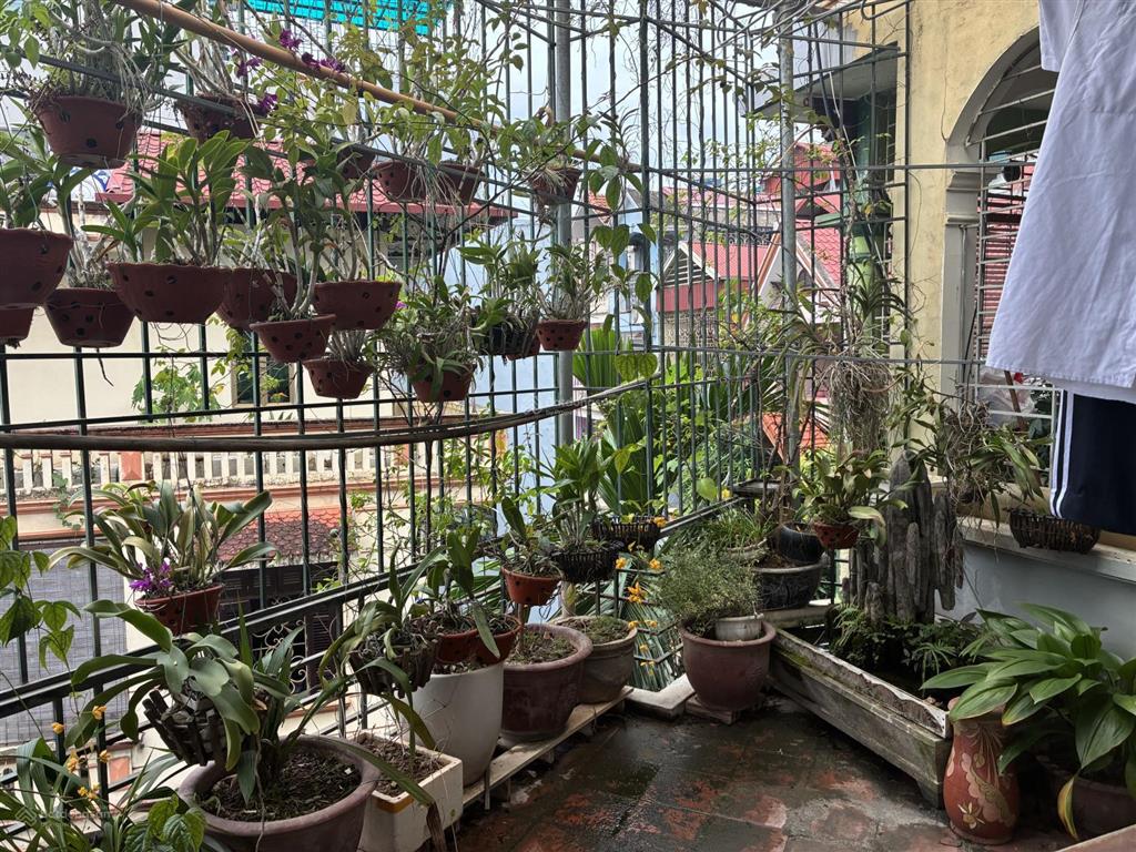 Bán nhà phân lô phạm tuấn tài, ô tô, vỉa hè, dt 31,4m2, lô góc, nhà dân 4 tầng, giá 15,5 tỷ có tl
