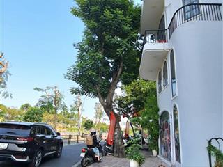 Sở hữu thế đất viên kim cương panorama 360 độ  nhà 6 tầng mặt tiền hoàng sa. giá tốt 15 tỷ