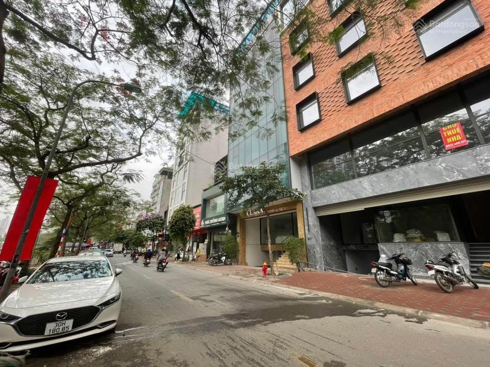 Mp nguyễn khang  95m x 8t thang máy, mt 5m  ô tô tránh  vỉa hè  kinh doanh  44 tỷ