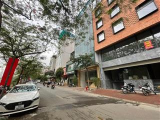 Mp nguyễn khang  95m x 8t thang máy, mt 5m  ô tô tránh  vỉa hè  kinh doanh  44 tỷ
