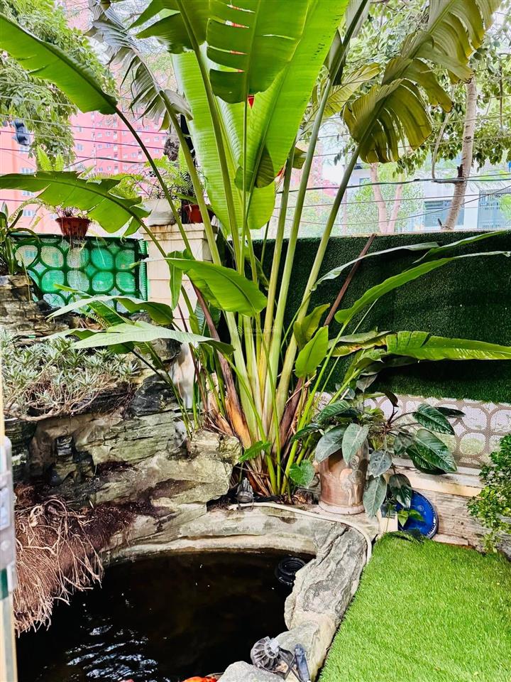 Biệt thự vip starlake 133m2, gần công viên, hồ điều hòa, khu toàn các lãnh đạo ở